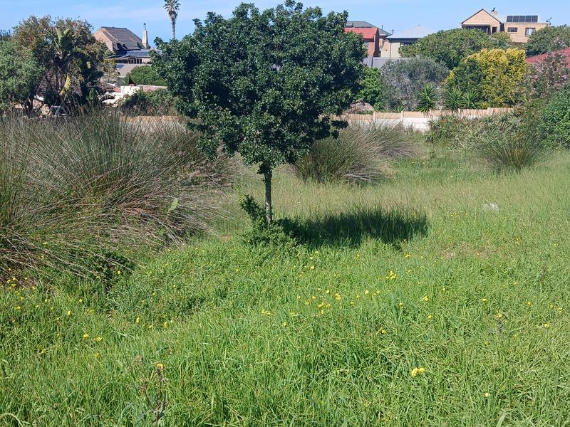 0 Bedroom Property for Sale in Stilbaai Wes Western Cape